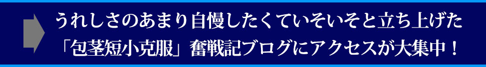 ܂܌JAg̕sEZER̋LɃANZXWI